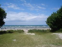 wasaga 2